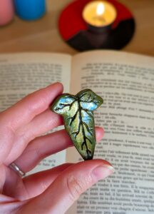 pxl 20251117 155548002.portrait pxl 20251117 155548002.portrait